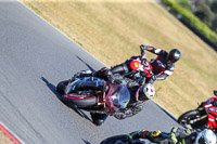 enduro-digital-images;event-digital-images;eventdigitalimages;no-limits-trackdays;peter-wileman-photography;racing-digital-images;snetterton;snetterton-no-limits-trackday;snetterton-photographs;snetterton-trackday-photographs;trackday-digital-images;trackday-photos